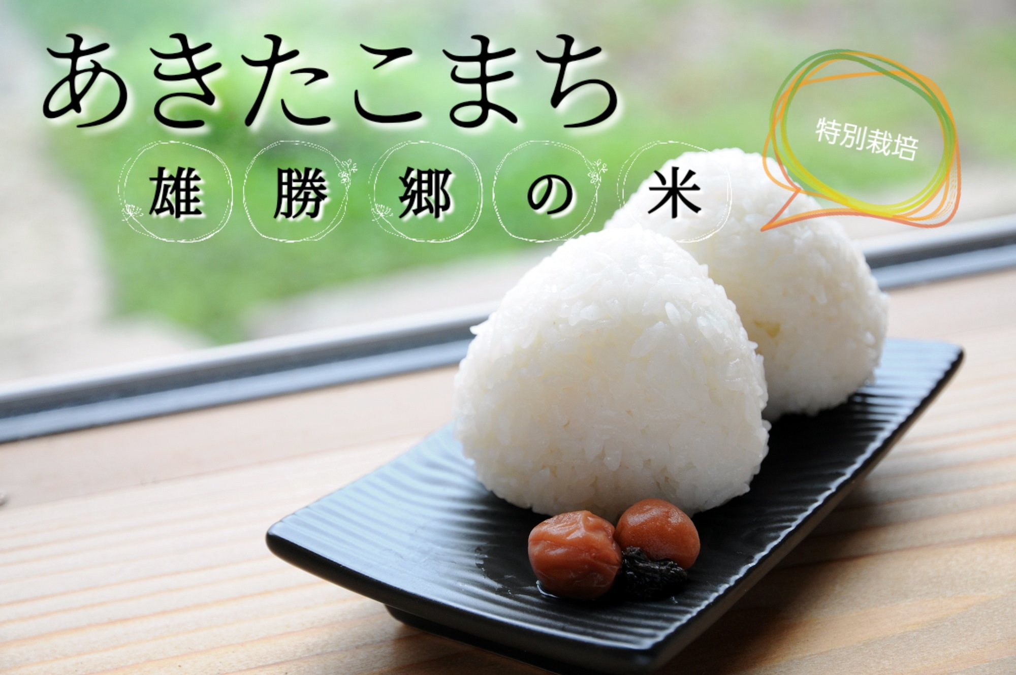 あきたこまち通販専門店 米の儀助