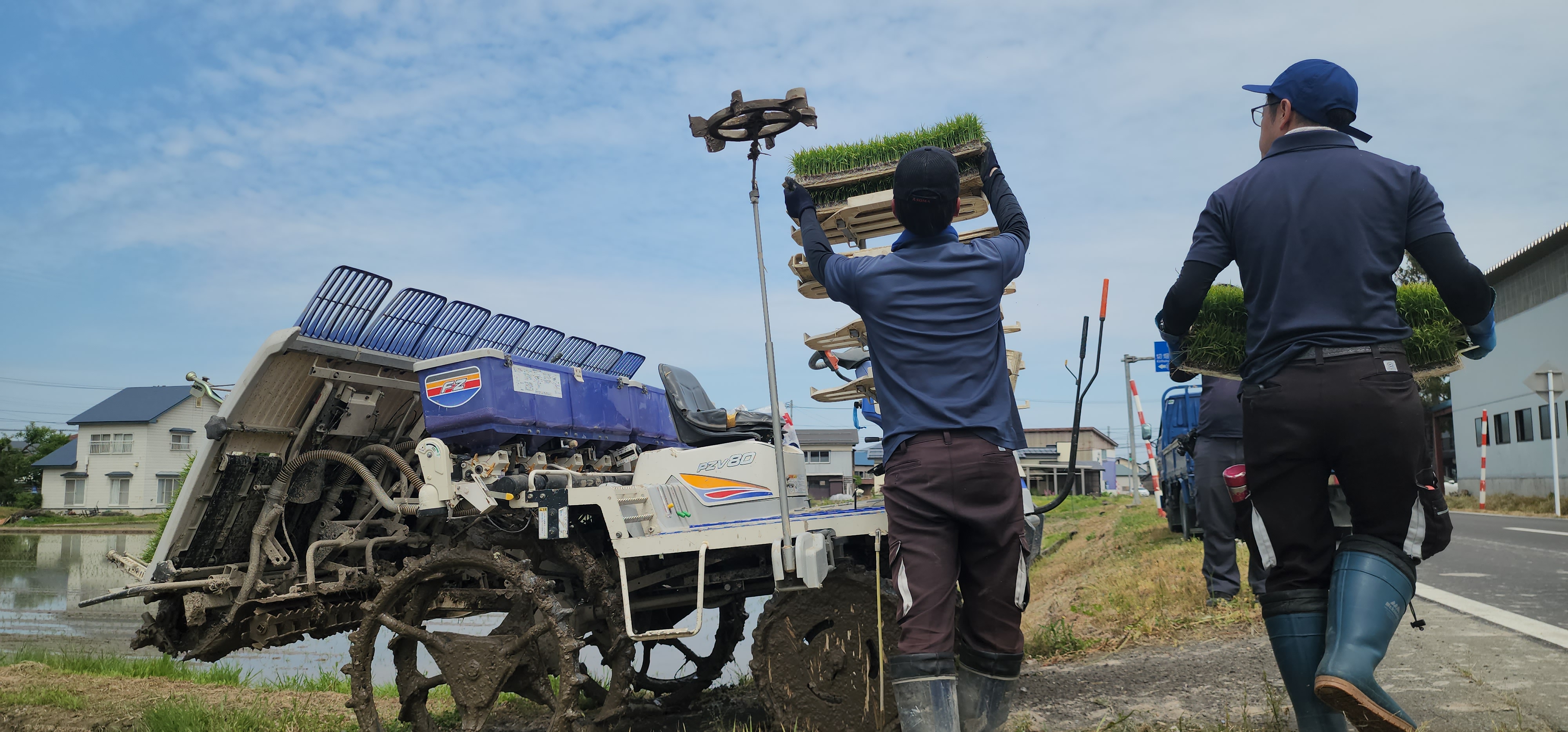 田植え3.jpg
