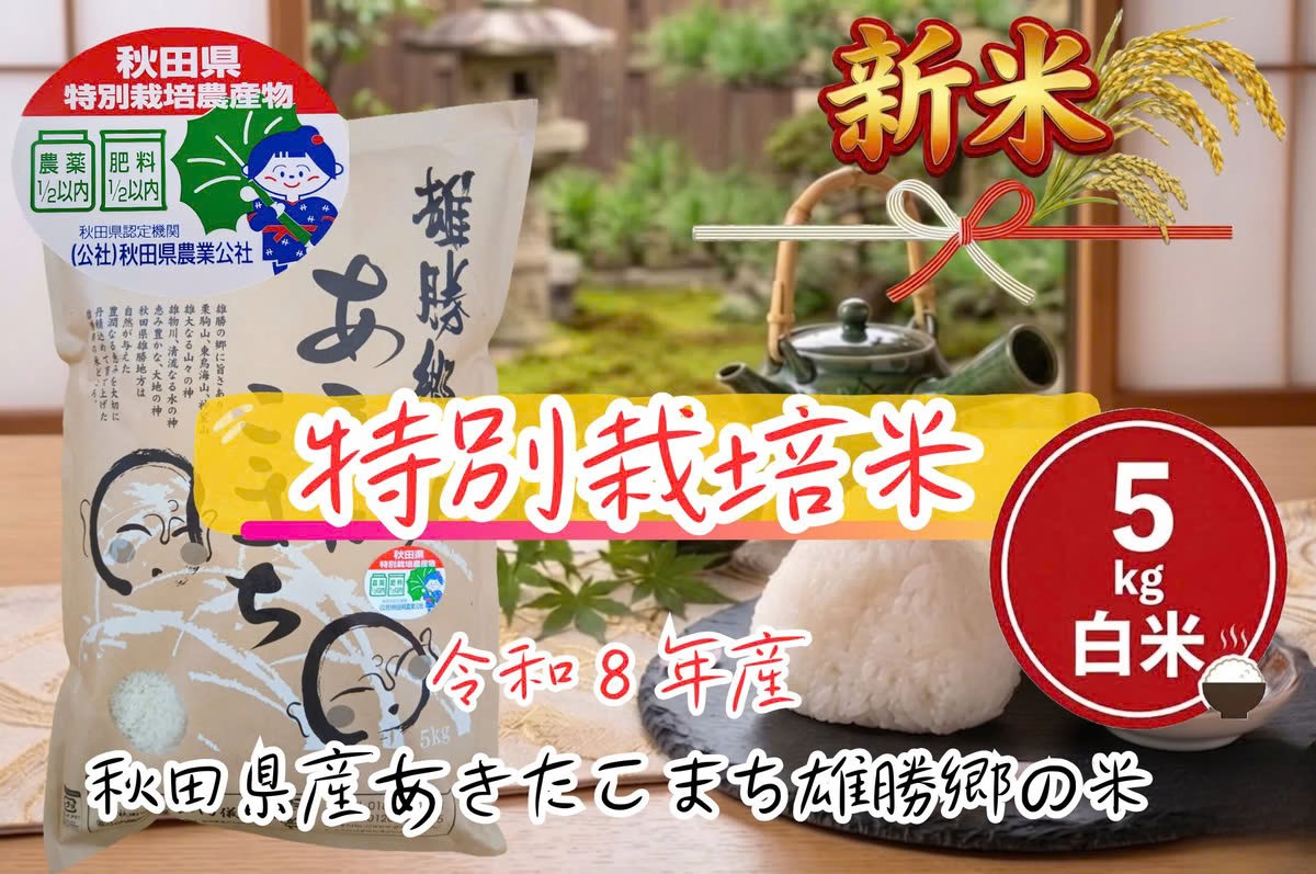 雄勝郷の米 5kgパッケージとおにぎり