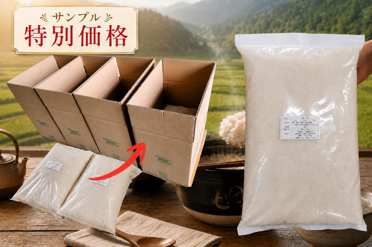 あきたこまち白米 5kg サンプル特別価格