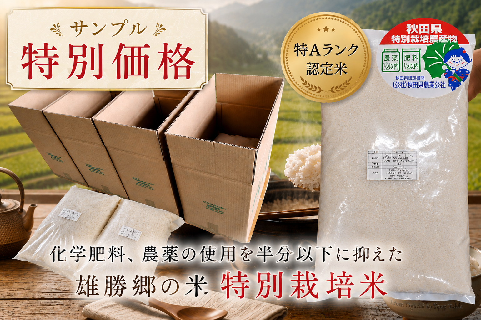 特別栽培米 あきたこまち白米 5kg サンプル特別価格