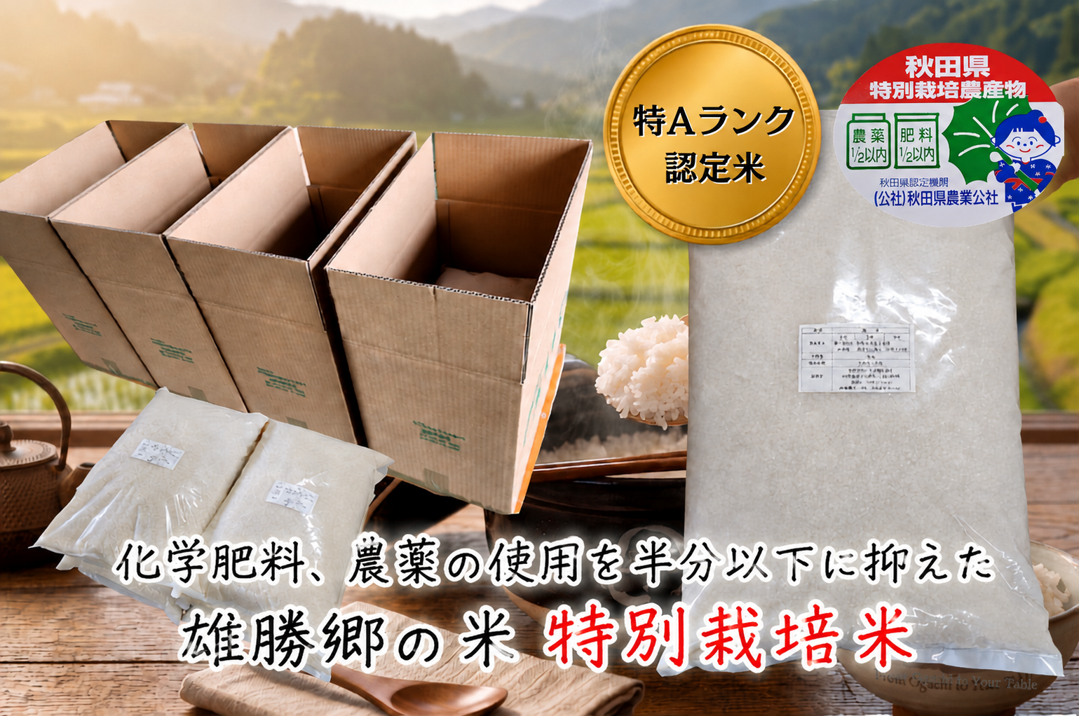 特別栽培米 あきたこまち白米 5kg