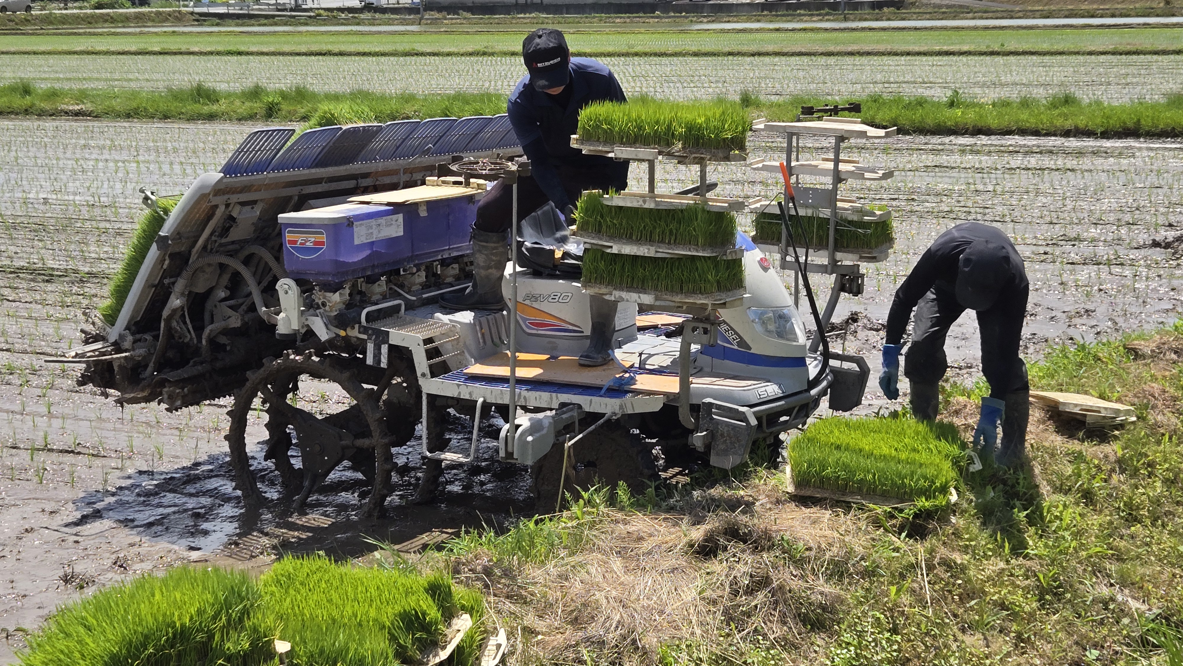 田植え・農作業の様子
