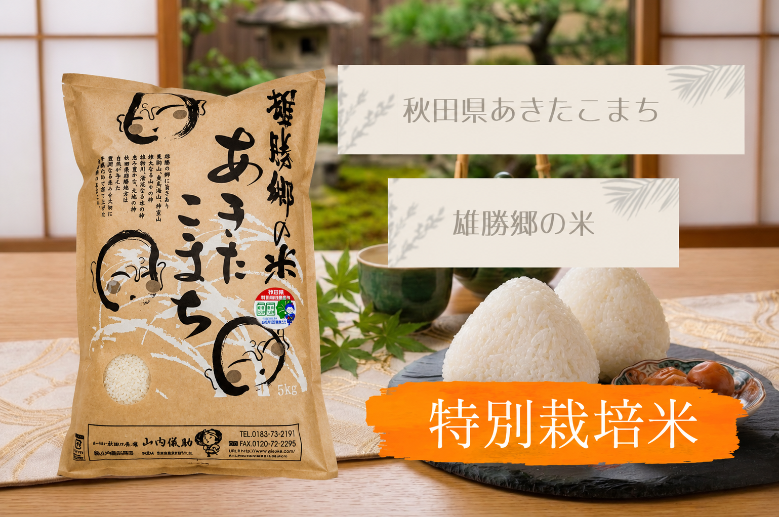 雄勝郷の米 5kgパッケージとおにぎり