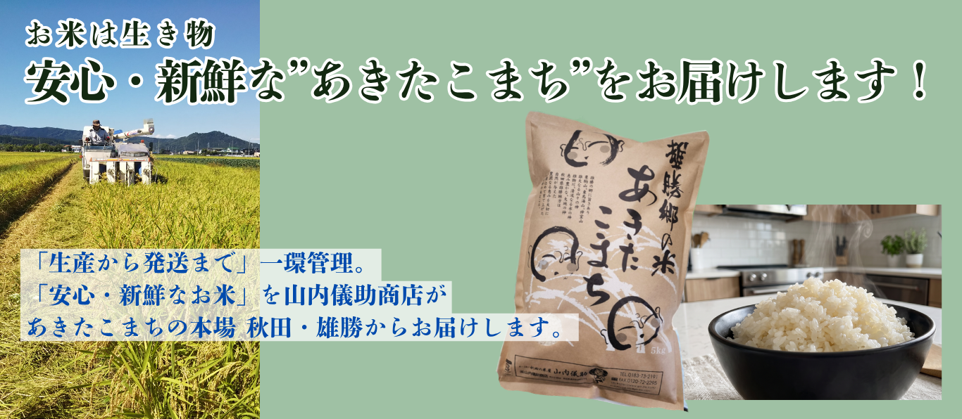 メッセージ1