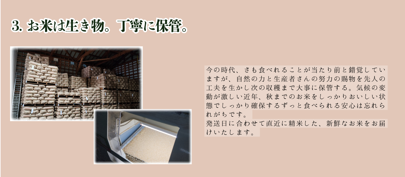 メッセージ4