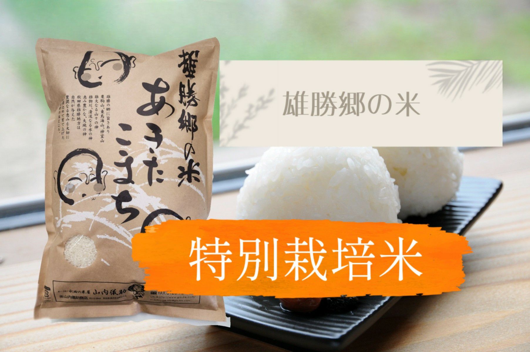 あきたこまち雄勝郷の米 特別栽培米 5kg 令和7年産秋田県産